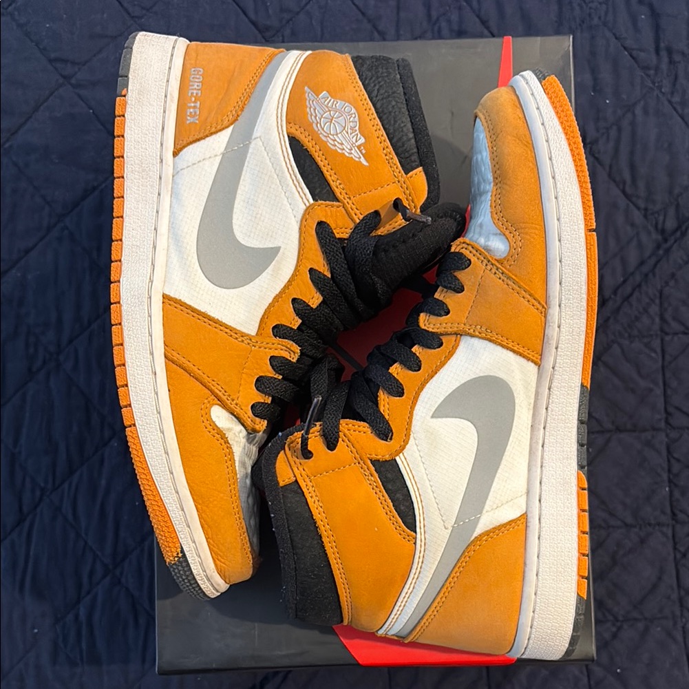 Nike Air Jordan 1 Element